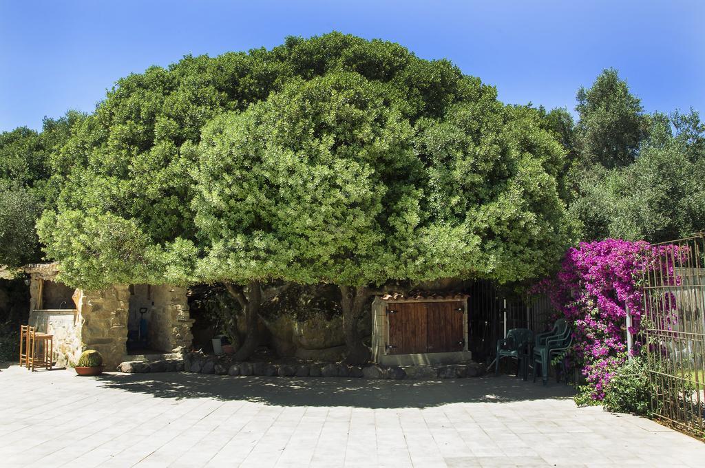 Agriturismo Il Paradiso Iglesias Eksteriør bilde