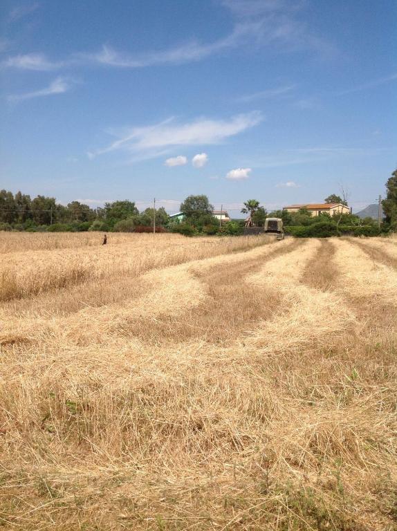 Agriturismo Il Paradiso Iglesias Eksteriør bilde