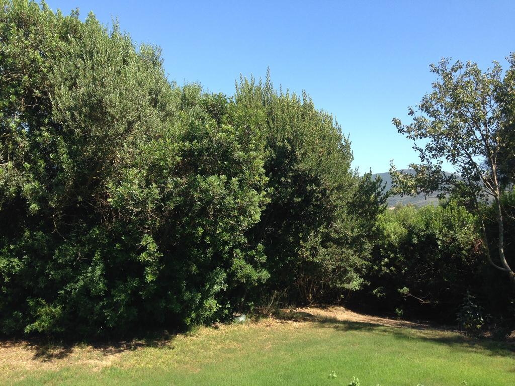Agriturismo Il Paradiso Iglesias Eksteriør bilde