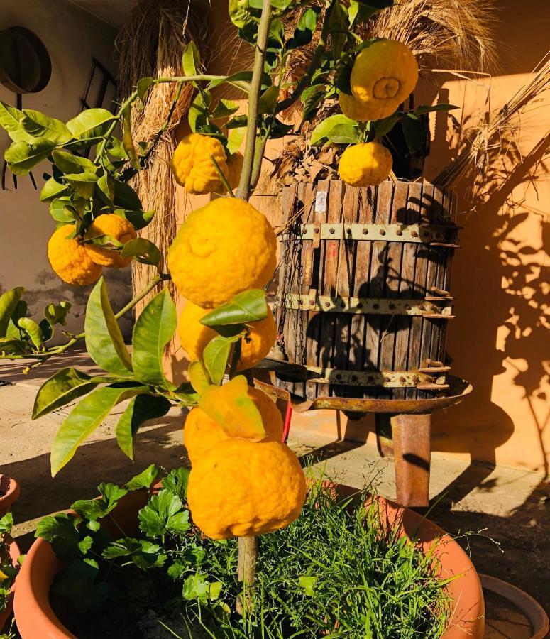 Agriturismo Il Paradiso Iglesias Eksteriør bilde